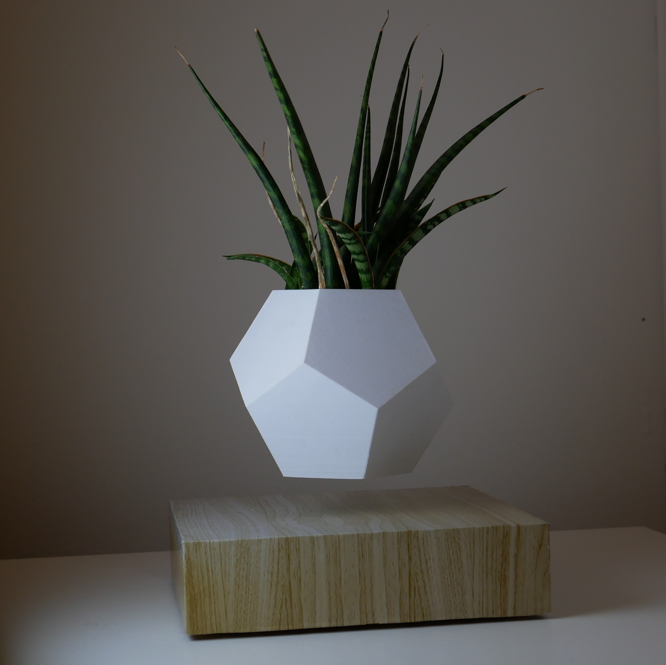 The Levitating Planter – Ananords